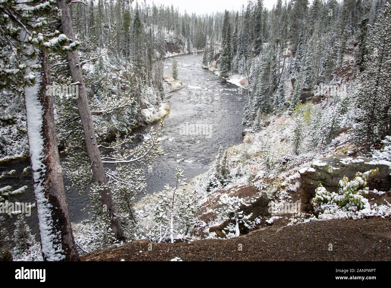 Wicklung Fluss und Bäume im Schnee entlang der Straße fahren von Grant Teton National Park zu Yellow Stone National Park bedeckt Stockfoto