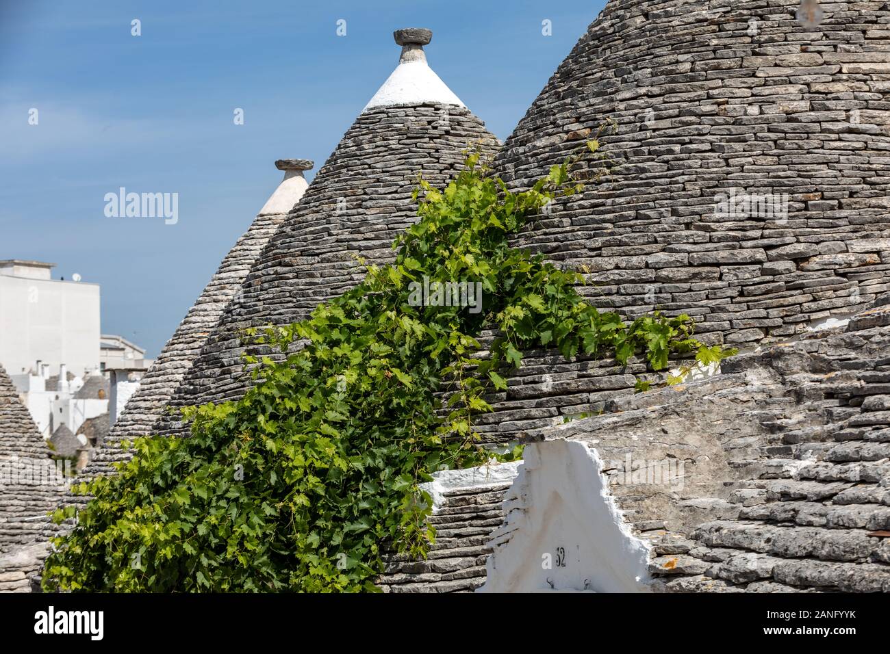 Weinreben auf dem Stein Dach von Trulli in Alberobello, Italien. Der Baustil ist spezifisch für die murge Bereich der italienischen Region ein Stockfoto