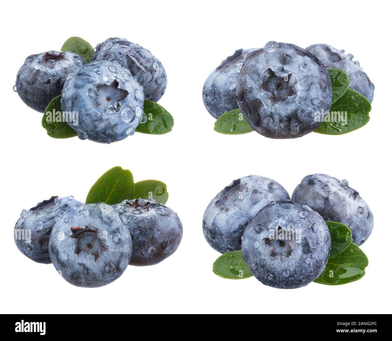 Gruppe von frischen Heidelbeeren isoliert auf weißem Hintergrund. Stockfoto