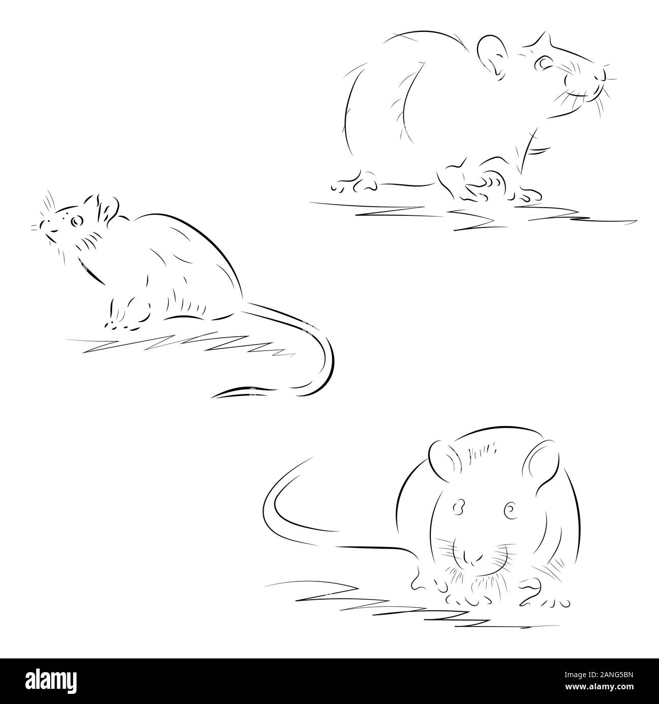 Konturen von Hand gezeichnete Ratten auf weißem Hintergrund Stock Vektor