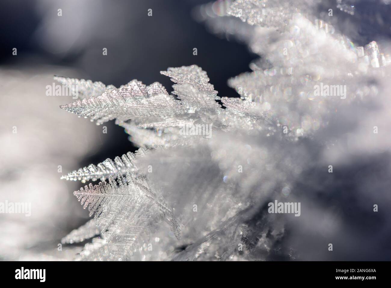 Echte gefrorene Eiskristalle in blauem, winterlichem Hintergrund. Nahaufnahme von Eiskristallen, die im Winter gefroren wurden. Stockfoto