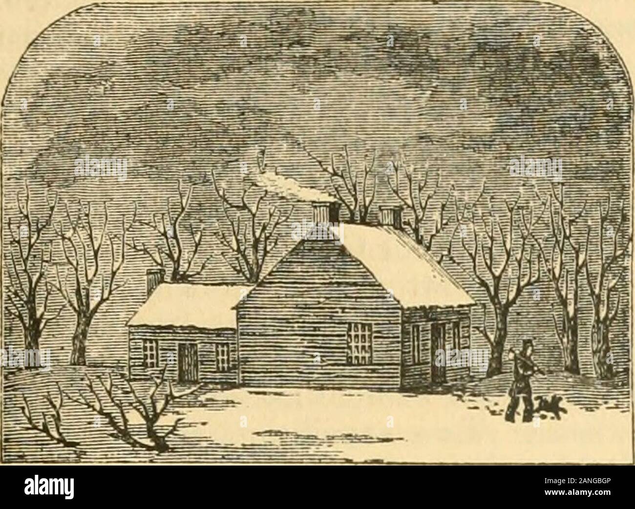 Alle westlichen Staaten und Territorien. Monroe ist in der Nähe der Leiter des Lake Erie, auf einem der Zweige der theMichigan Southern Railroad, 41 Meilen von Detroit und 24 aus Toledo, bythe Eisenbahn verbindet die Städte. Es ist auf beiden Seiten des Flusses mit Rosinen, 2 Meilen von seinen Eingang in den See. Es hat einen schönen Hafen, und der Boden Michigan. 269. Wixchestebs Kopf Qu^ Kalorimetern, auf dem River Raisin. Dieses Haus, modernisiert, ist jetzt der Bischöflichen Gleichheit - sonage in Monroe. Es ist von Gehauenen h; gs: Die liimneyswere gebaut aus Steinen aus dem Flussbett ein Paar yardsdistant und tlie ursprüngliche Form des Hauses in der theusu Stockfoto