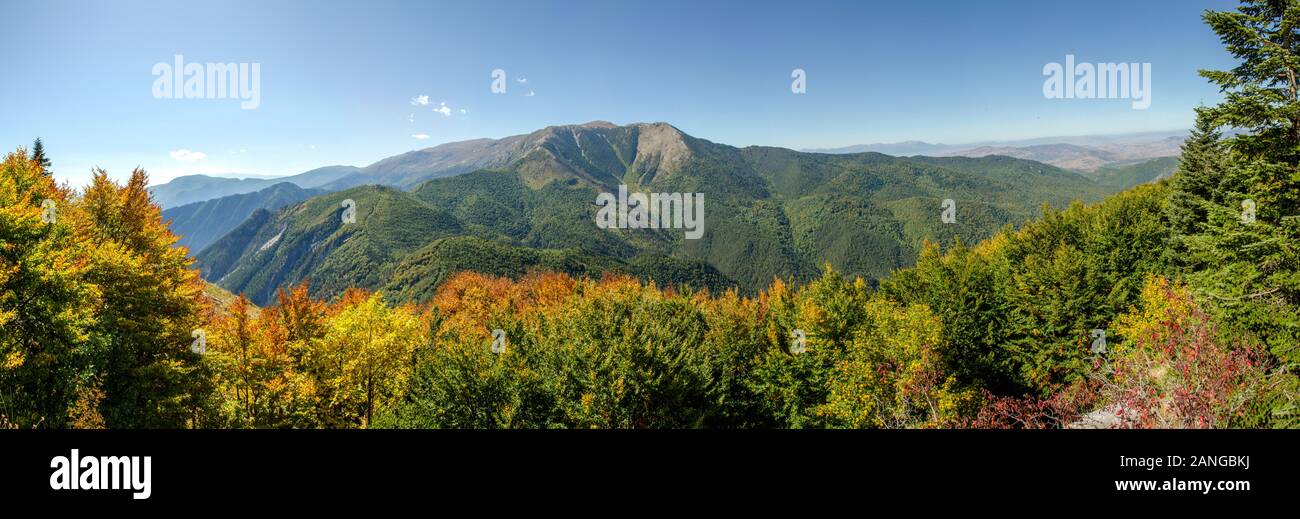 Die Berge Panoramablick - wilde Natur - grüne Wald auf Nidze Berg - Mazedonien Stockfoto
