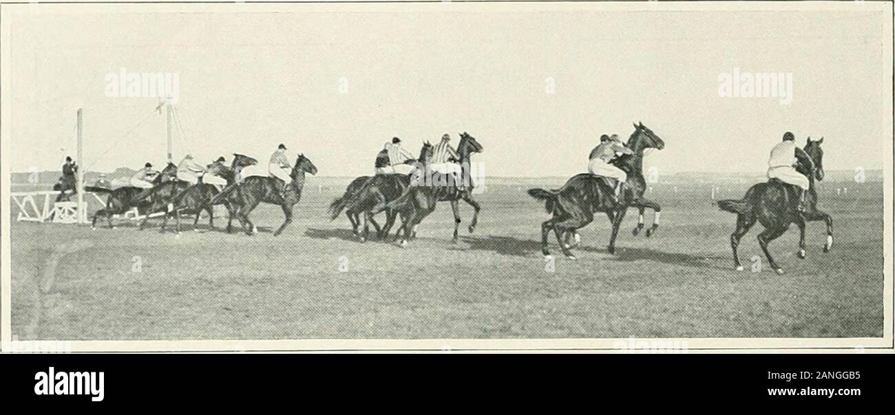 Der Sport der Welt, mit Illustrationen von Zeichnungen und Fotografien. CO&lt; ozoQ" W. Ich 1H 5H DC NV & zu t44 DER SPORT DER WELT.. Die DEWHURST, PLATTE, 1901: DER START (Foto: W. W. Rouch, Strang, W.C.) Jedes unten Schilling zu einem Penny, einschließlich einer packetof Süßigkeiten, erstaunlich ist, und diese Funktion showshow gründlich durchdrungen ist der Norden - countrynature mit der sportlichen spiiit, in thegambling Sinn verstanden. Der Geist des Geizes appearsnot in zu öffnen. Die großen Yorkshire Familien zusammenbauen bei Don-Caster, aber Bahnanlagen haben seit langem doneaway mit der Notwendigkeit für bei Stockfoto