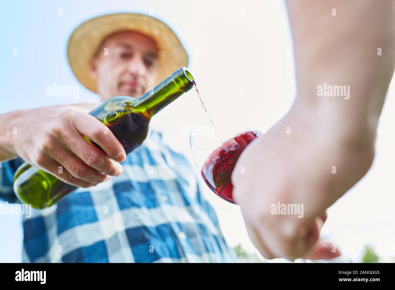 Hand des Winzers mit einer Flasche Rotwein, während Gießen in einem Glas Wein Stockfoto