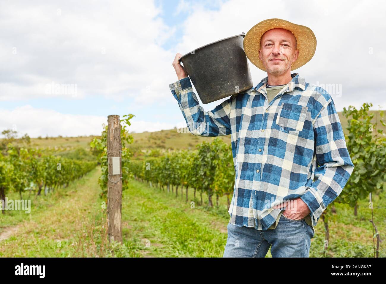 Stolz Winzer oder Ernten Helfer mit Schaufel im Weinberg während der Weinlese Stockfoto