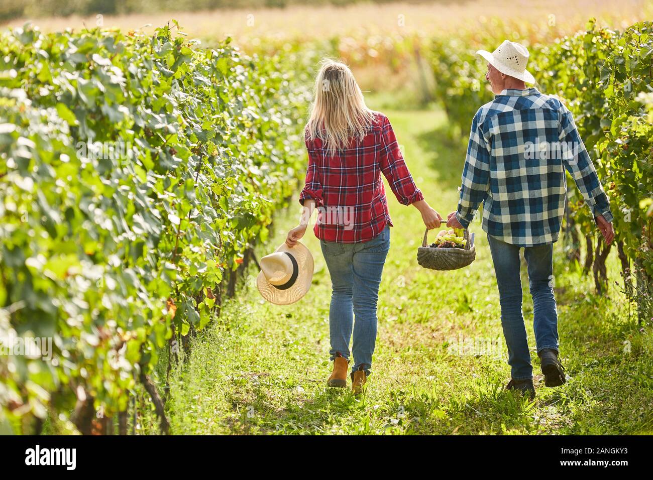 Glückliches junges Paar auf einem Ausflug in die Weinberge mit Korb für ein Picknick Stockfoto