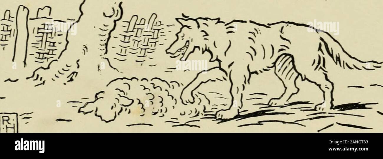 Wolf Im Schafspelz Stockfotos Und Bilder Kaufen Alamy