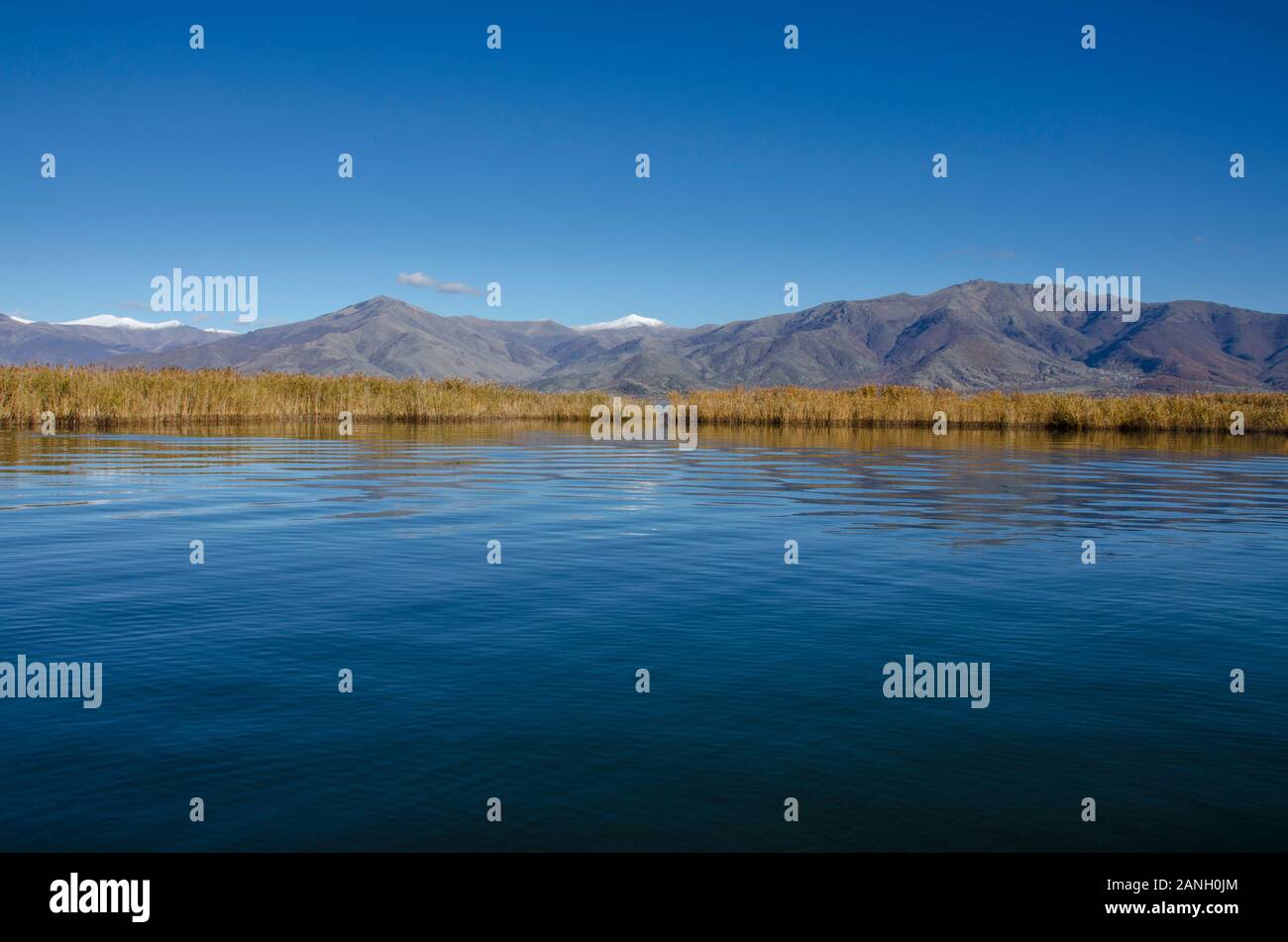 Limni Mikri Préspa, Agios Achillios, Florina, Griechenland Stockfoto