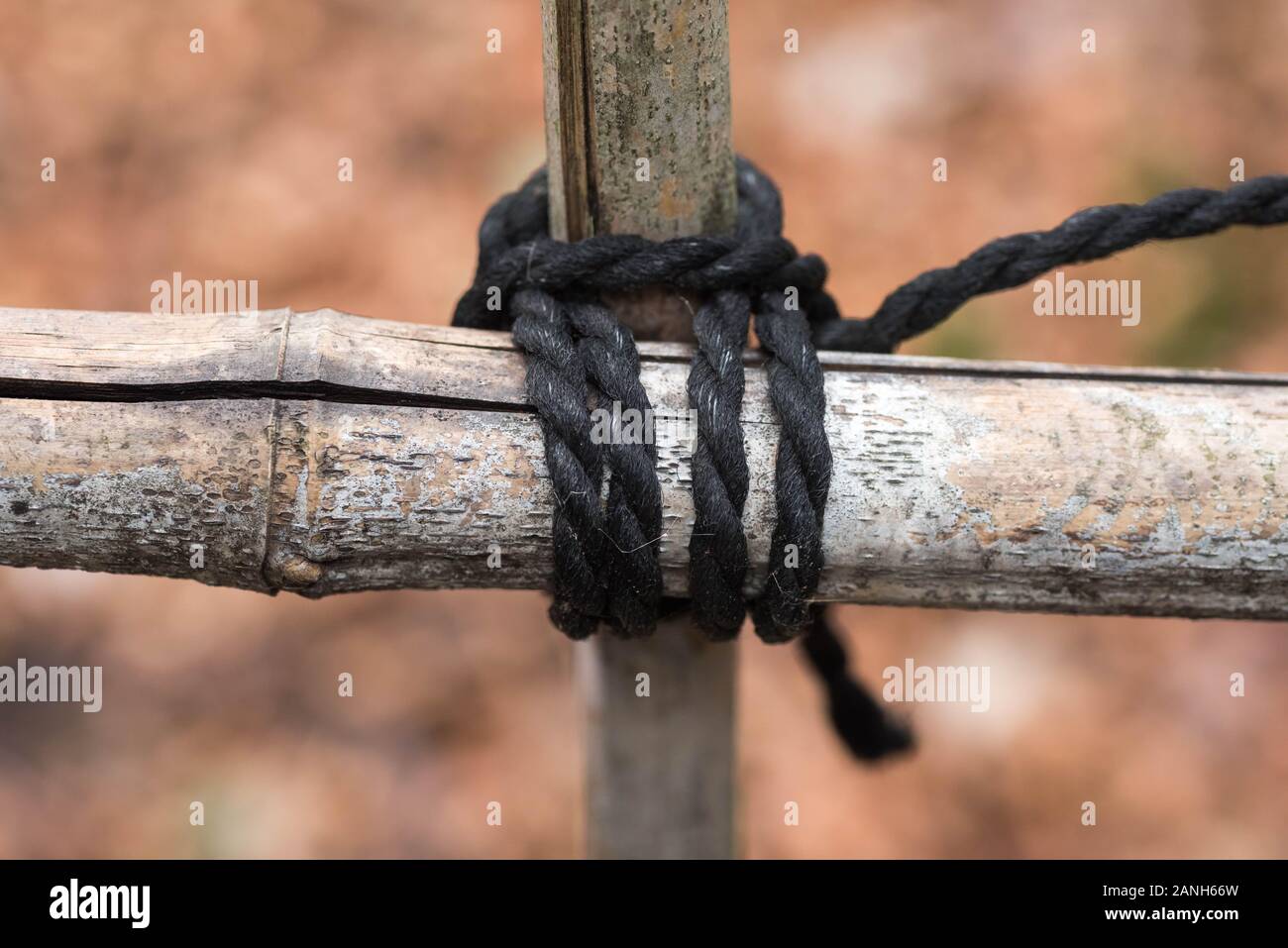 Alte und getrocknete Bambus werden mit einem schwarzen Seil zu einem Kreuz zusammengebunden Stockfoto