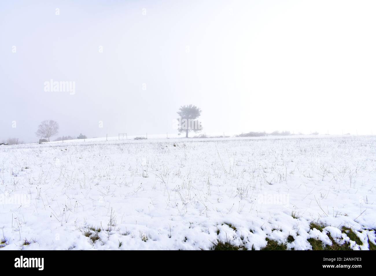 Winterlandschaft mit schneeweissen Feld, Nebel und Baum. Piornedo Bergdorf, Ancares region, Lugo, Galizien, Spanien. Stockfoto