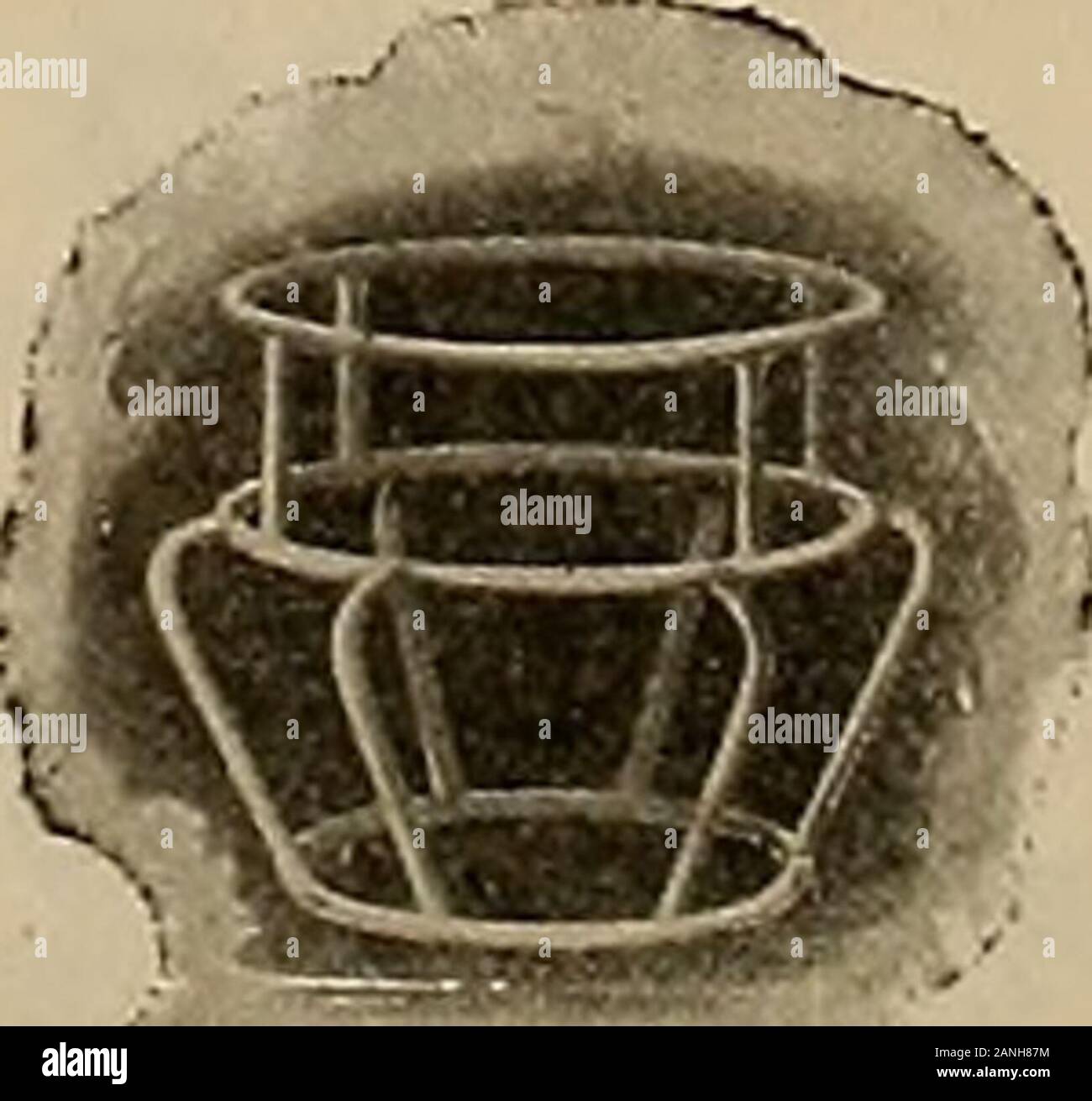 Züchter und Sportler. Harris Sattlerei Co Marysvllle, Cal. R. Grant Potter Sacramento, Cal. W.E. Detels Pleasanton, Cal. J. A. Lew in Denver, Colo. W, J. Kenney San Francisco, cal. Boyden Bros Los Angeles, cal. Lovett Droge Co. Phoenix, Ariz West Texas Sattel Co El Paso, Texas, hergestellt von der Firma FORESTINE, Williamsport, Pa die First National Bank in der Eckstrebenanzeige und Montgomery Straßen komplette BankingService I. die First National Bank voll für kommerzielle Unternehmen ausgestattet. Ii. Erste Federal Trust Company, mit der First National Bank, zahlt Zinsen auf Einlagen und nimmt ent Stockfoto