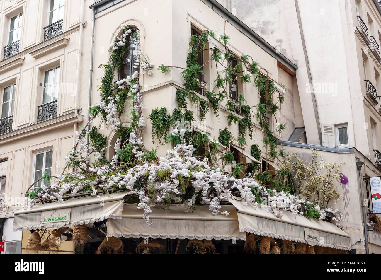 Weiße Sommerblüten schmücken die Fassade von Le Maison Sauvage, einem Pariser Café in Paris, Frankreich in der Rue de Buci. Stockfoto