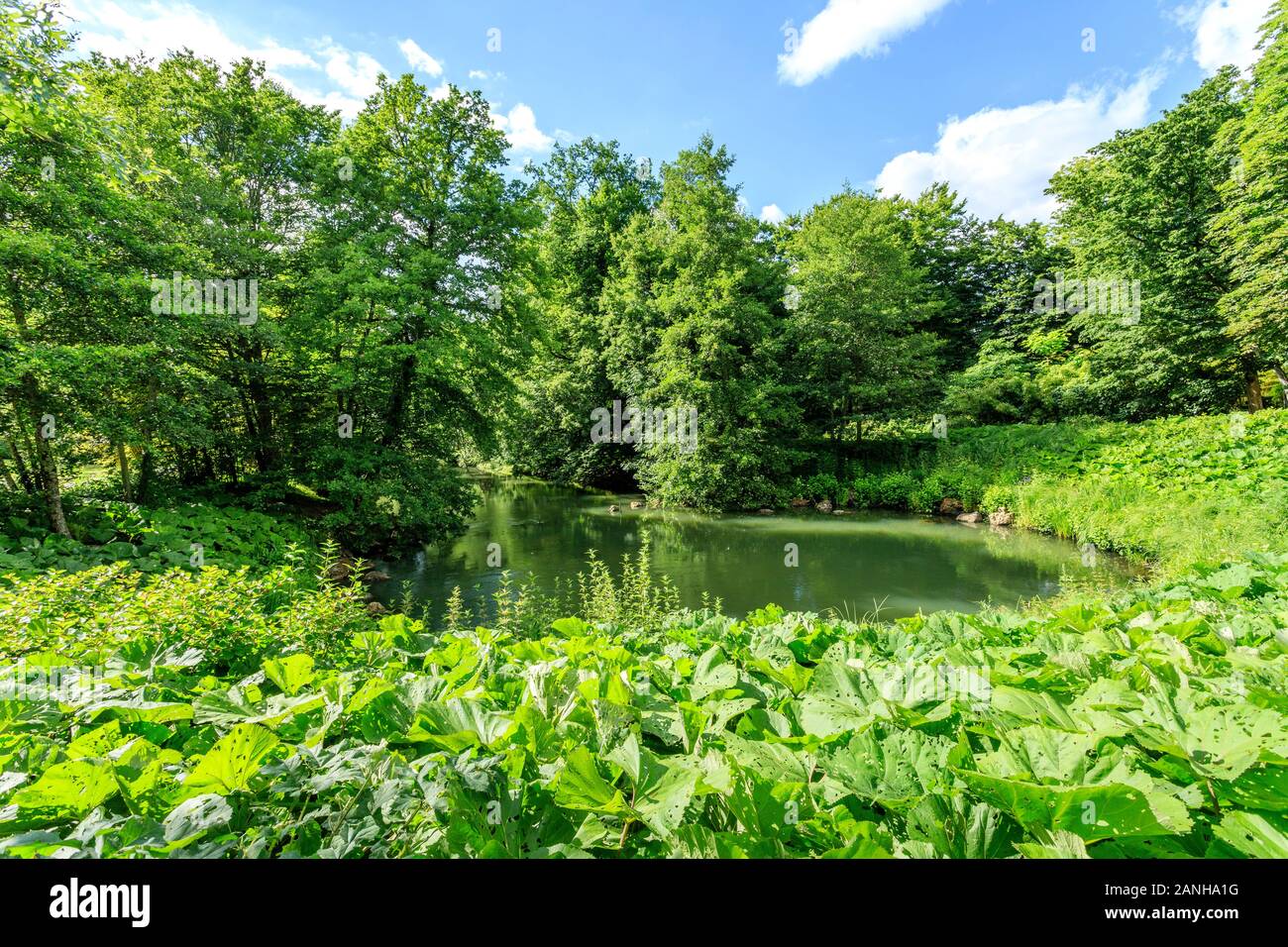Frankreich, Paris, Orleans, Orleans-la-Source Parc Floral de la Source, die Quelle des Loiret auch als Bouillon // Frankreich, Loir-et-Cher (45), Orléans, O Stockfoto