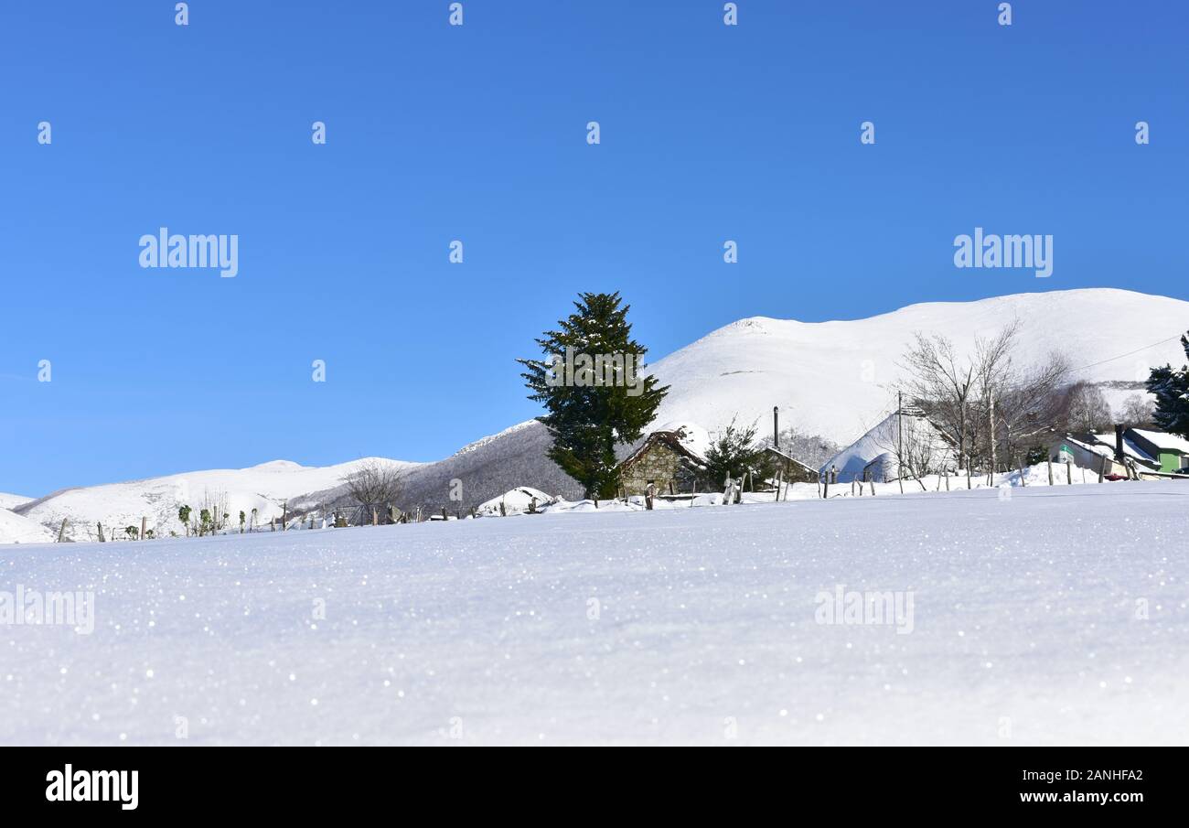 Winterlandschaft mit Snowy Mountain Village, Tannenbaum und blauer Himmel. Piornedo Dorf, Ancares region, Lugo, Galizien, Spanien. Stockfoto