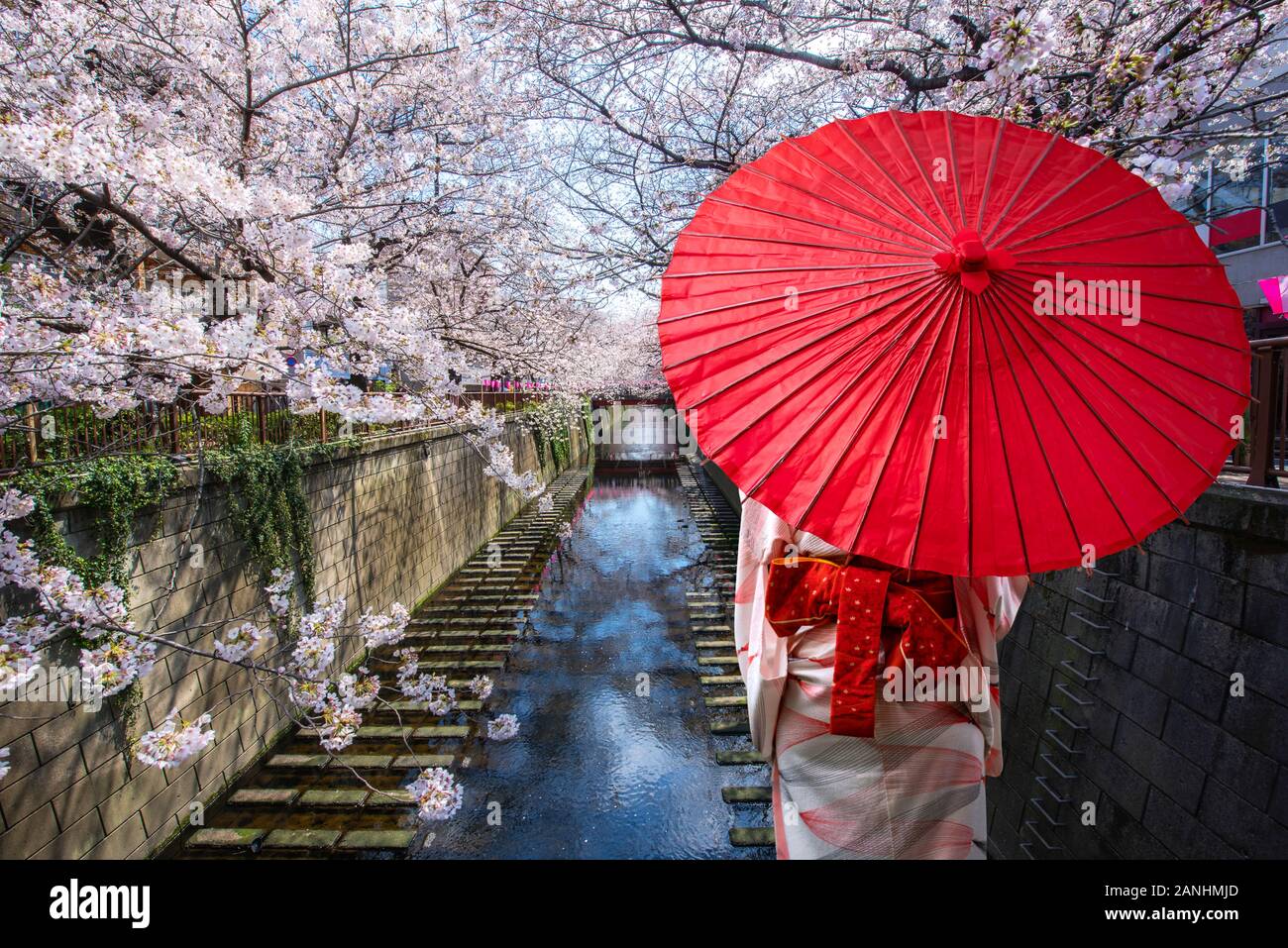 Asiatische junge Frau Reisenden tragen traditionelle japanische Kimono mit roten Regenschirm Sightseeing in berühmten Ziel Cherry Blossom gesäumt Meguro Canal Stockfoto