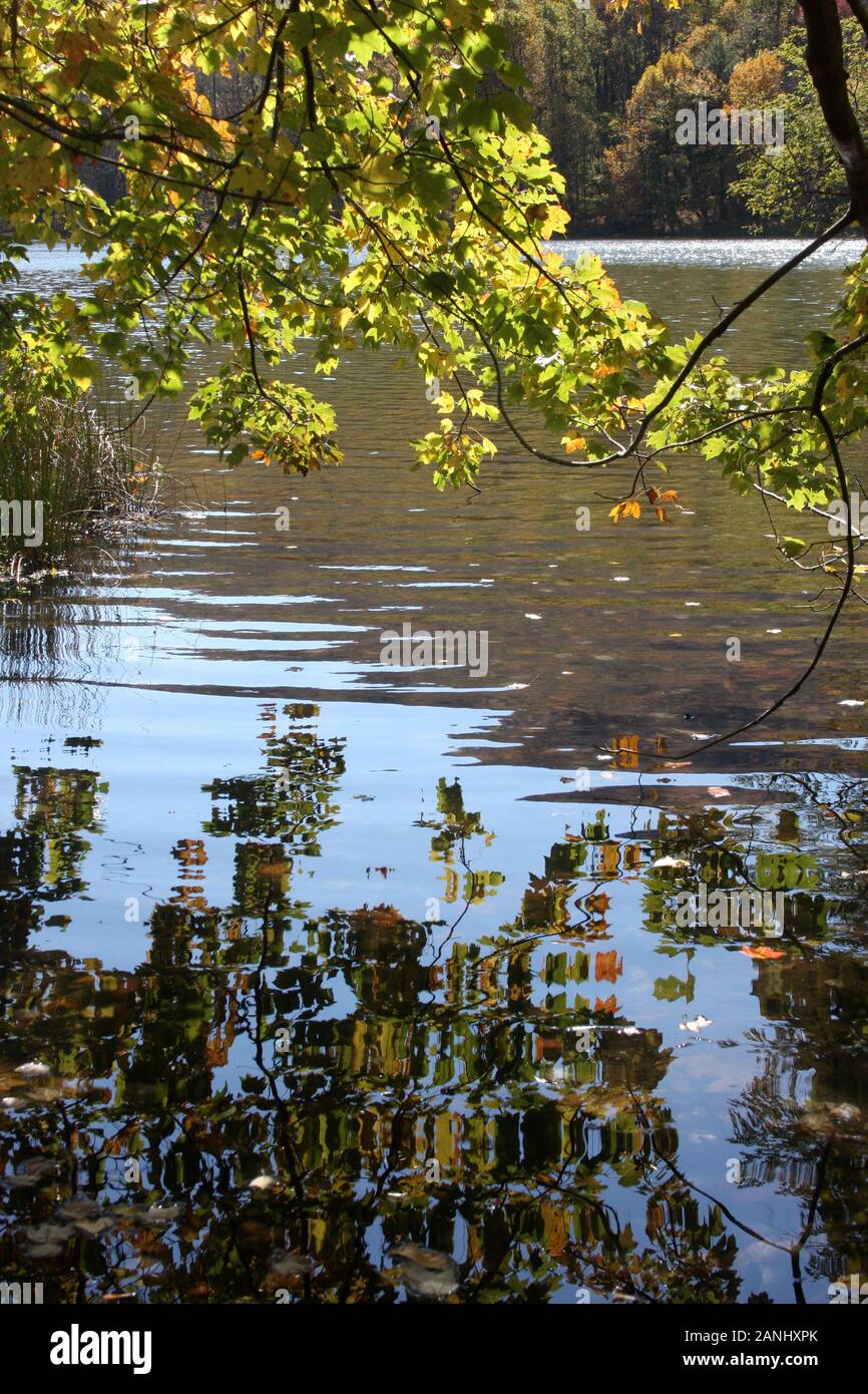 Bäume wechseln im Herbst die Farbe. Ruhiger, sonniger Tag am See. Stockfoto