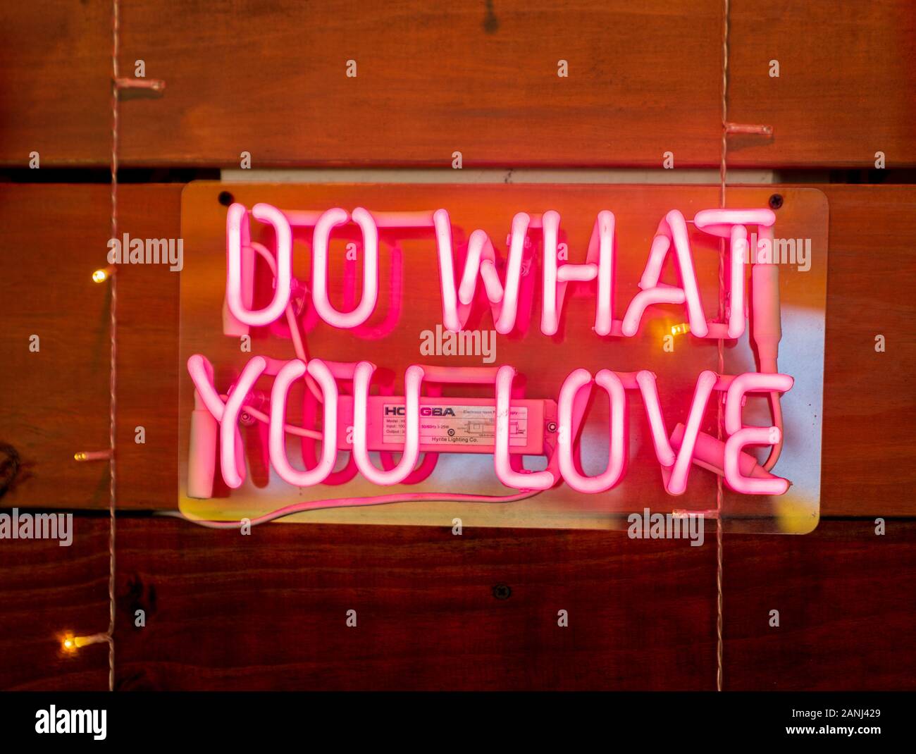 Do What You Love Neon Sign. Stockfoto
