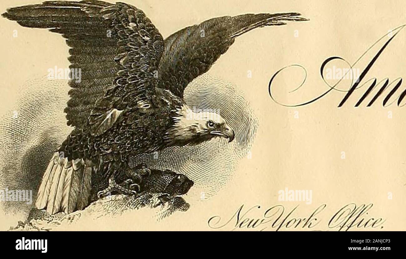 Papers, 1882-1901 (1883-1899). /Awra ///-//Jlr rrr. Jm/. ^^^^j^^ c-W^i^^/e^: TTTia/,. /M F/;: ^y.,, j, o,. /&Gt;""?. .^/?//r/r-y/.^/?/"?, Xn; //. 2h^/M/ml ^-^y (/r^/yf 0 Jahre^^ ¥/e^: 7U: Ich^^ JMy /////.?.97 Stockfoto