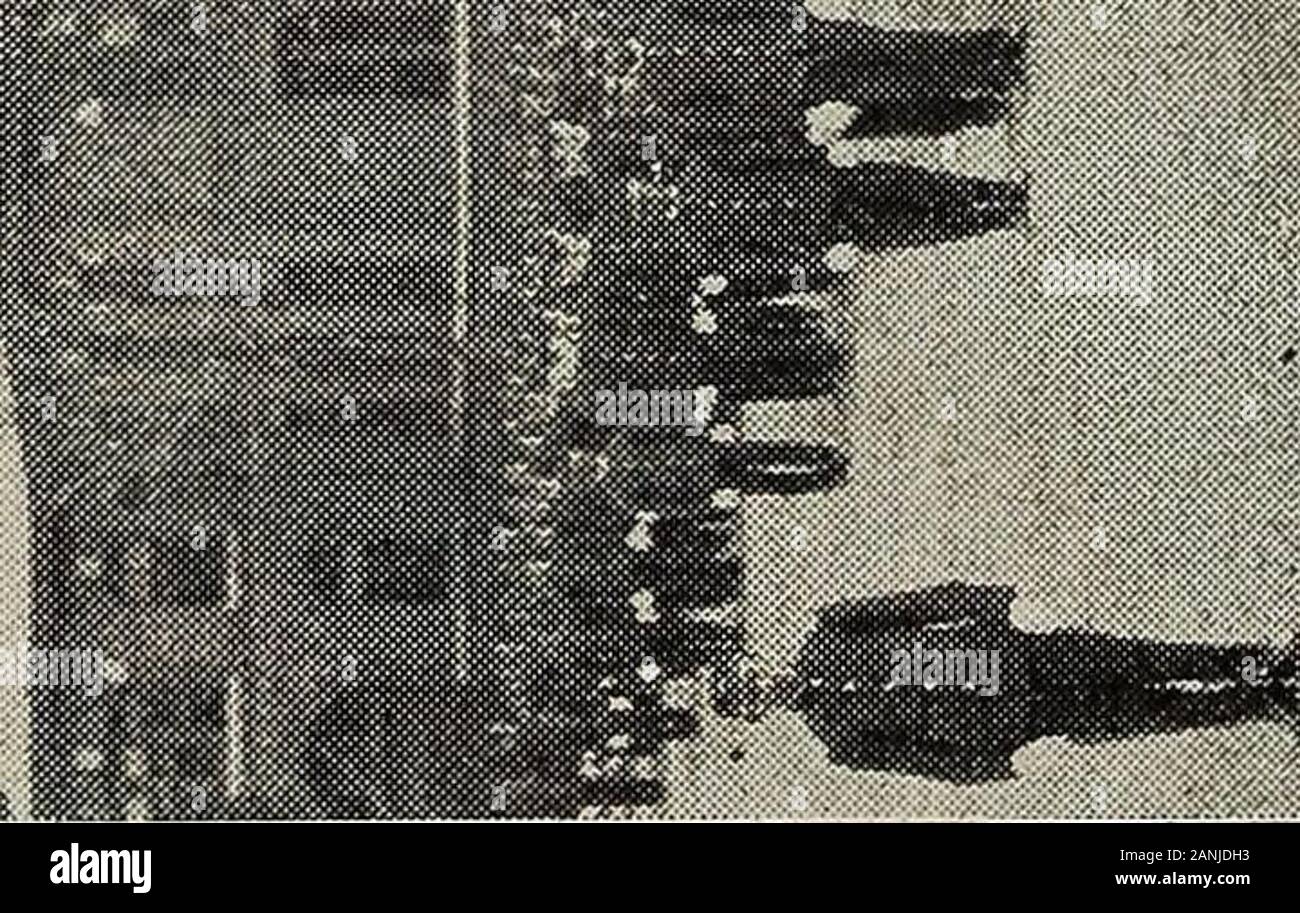 Katalog der Hampton Normale & Institut für Landwirtschaft, in Hampton, Virginia, für das akademische Jahr. . Mm Wp: mmMI § p Lite*. Das Hampton Normal und Landwirtschaftliche Institut WAS HAMPTON STEHT FÜR Hampton steht für einen gesunden Körper, einen trainedcapacity und ein Ausblick auf das Leben selbstlos für everystudent. Gute Gesundheit ist eine Voraussetzung für das firstimportance. Am Eingang und jährliche danach, die Augen, Ohren, und Zähne des Schülers sind ex-amined durch Spezialisten, und Fehler korrigiert whereverpossible. Darüber hinaus gibt es eine allgemeine examinationby die Schulungsleiter in körperliches Training. Diät, Stunde Stockfoto