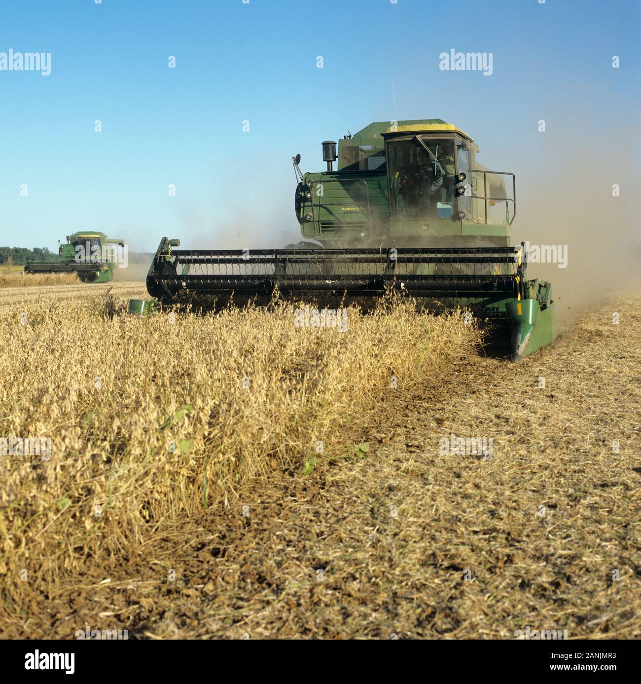 John Deere Mähdrescher, Ernte staubig, trocken Reife sojabohnenernte an einem klaren Fall Tag mit blauem Himmel, Louisiana, USA, Oktober. Stockfoto