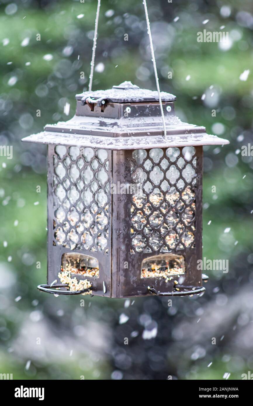 Eine nasse, urige Bird Feeder scharf mit unscharfen Schneefall und Hintergrund Stockfoto
