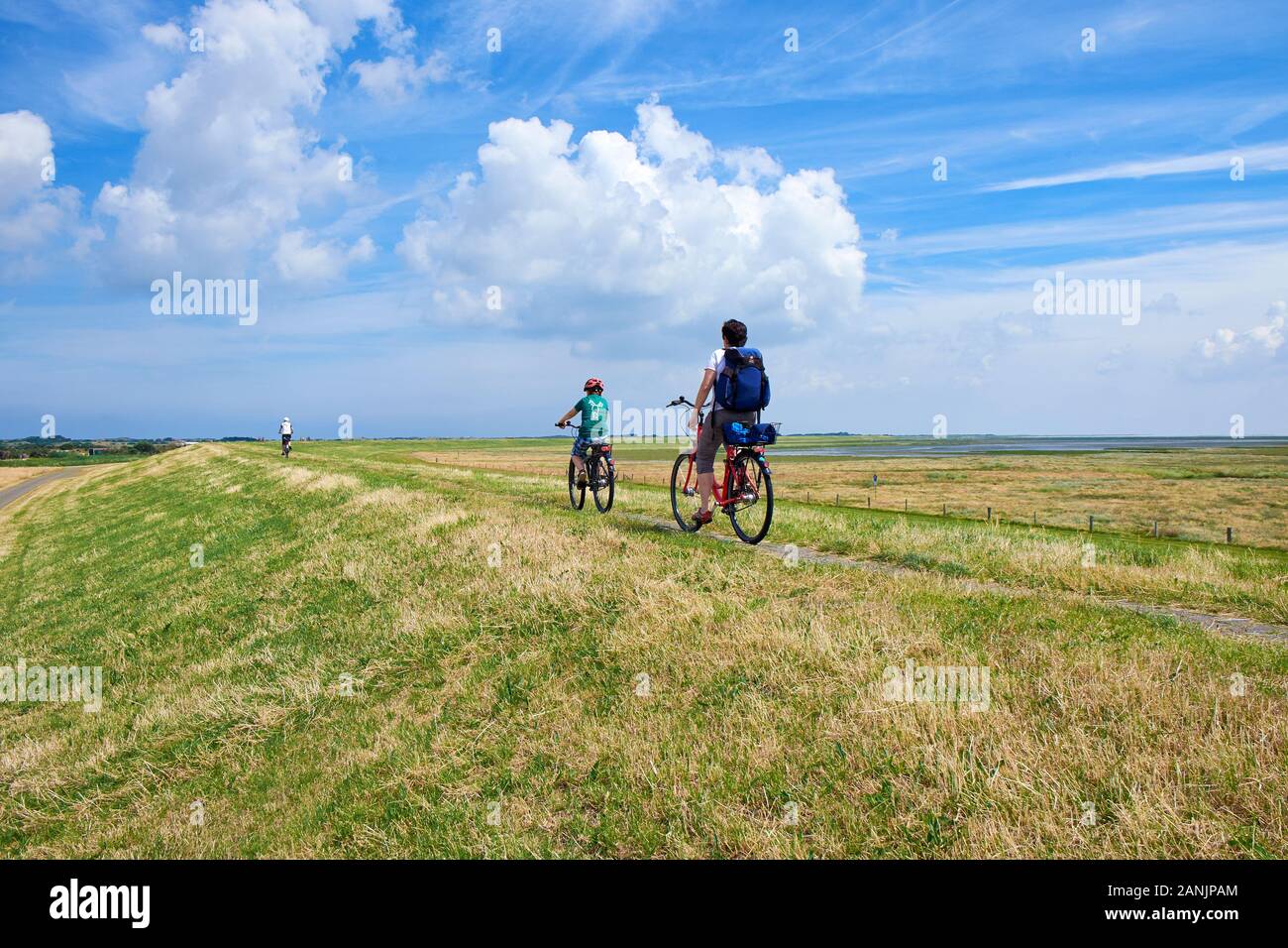 Rückansicht eines männlichen und weiblichen Radfahrers, der auf dem Seedeich auf der Insel Borkum zusammen radelt Stockfoto