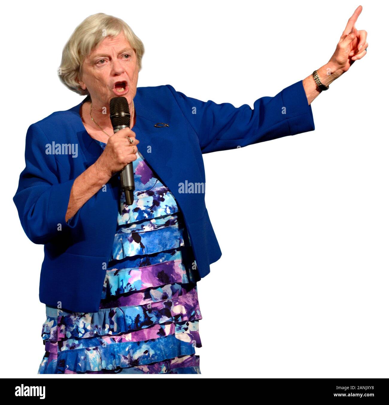 Ann Widdecombe MdEP spricht auf einer Brexit Party Kundgebung im Kent Event Center in ihrem ehemaligen Parlamentswahlkreis Maidstone, Kent, Großbritannien. 2019 Stockfoto