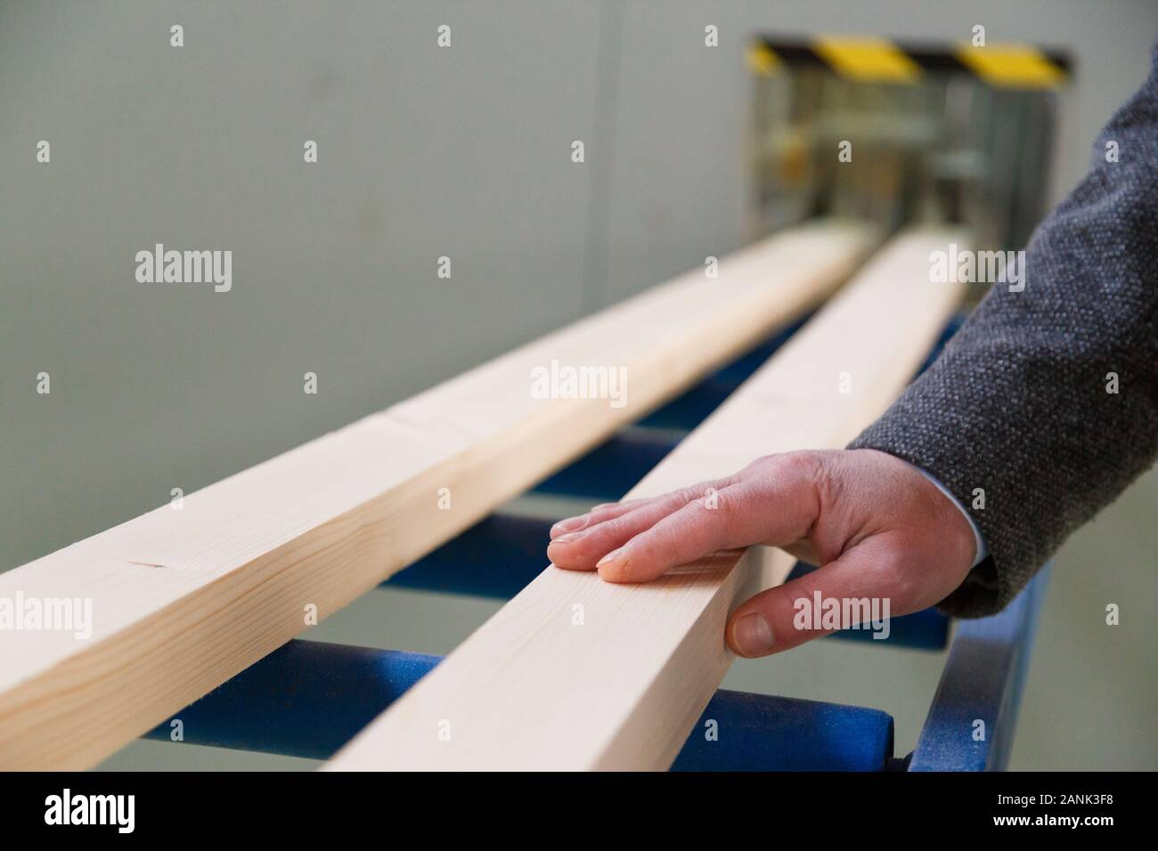 Devided poliert Board nach vier-seitig längs Fräsen Maschine zum Schneiden von Holz Stockfoto