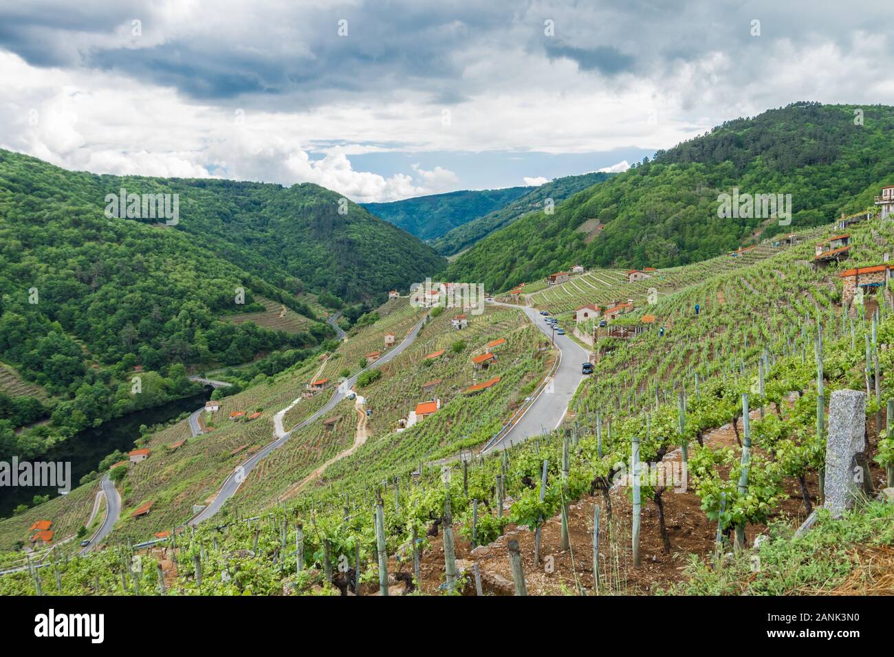 Berge mit Weinplantage und Blick auf ein Haus Stockfoto