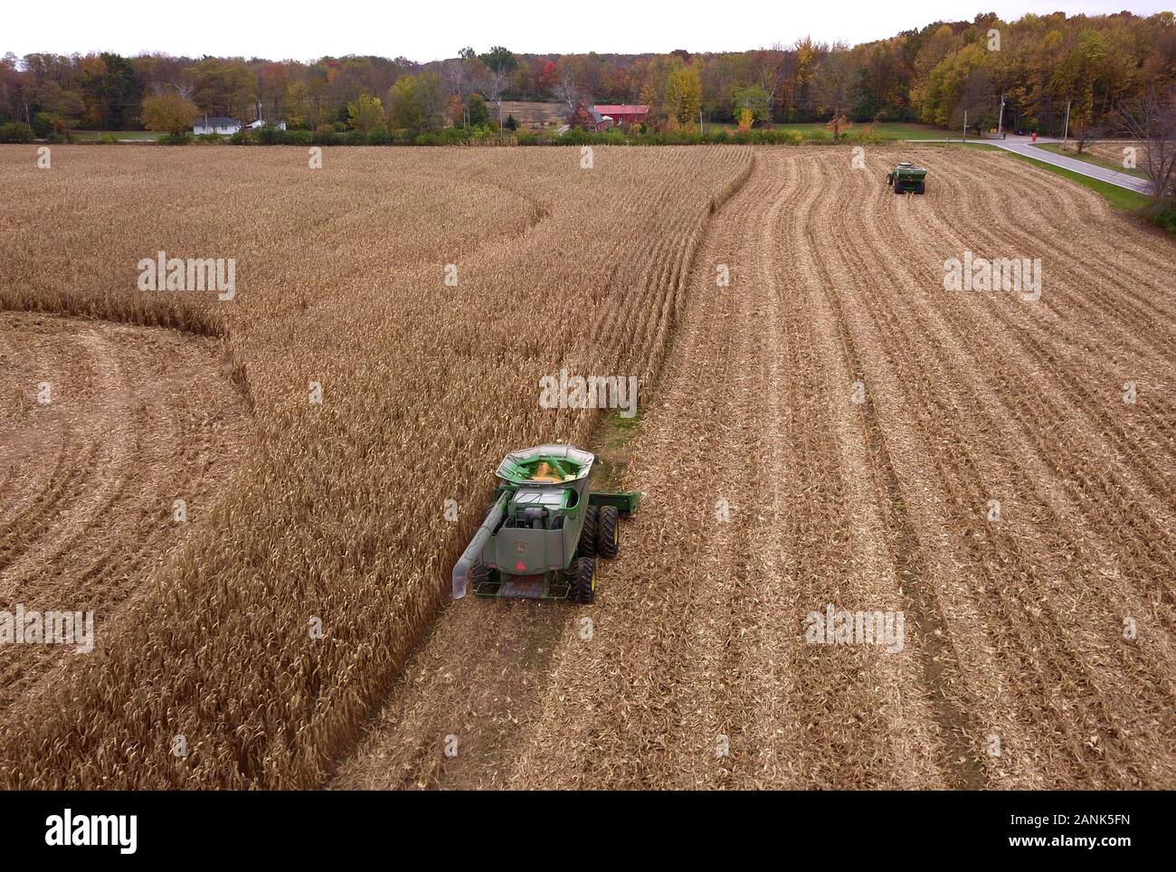 Drone Antenne verbinden die Maisernte Ohio Stockfoto