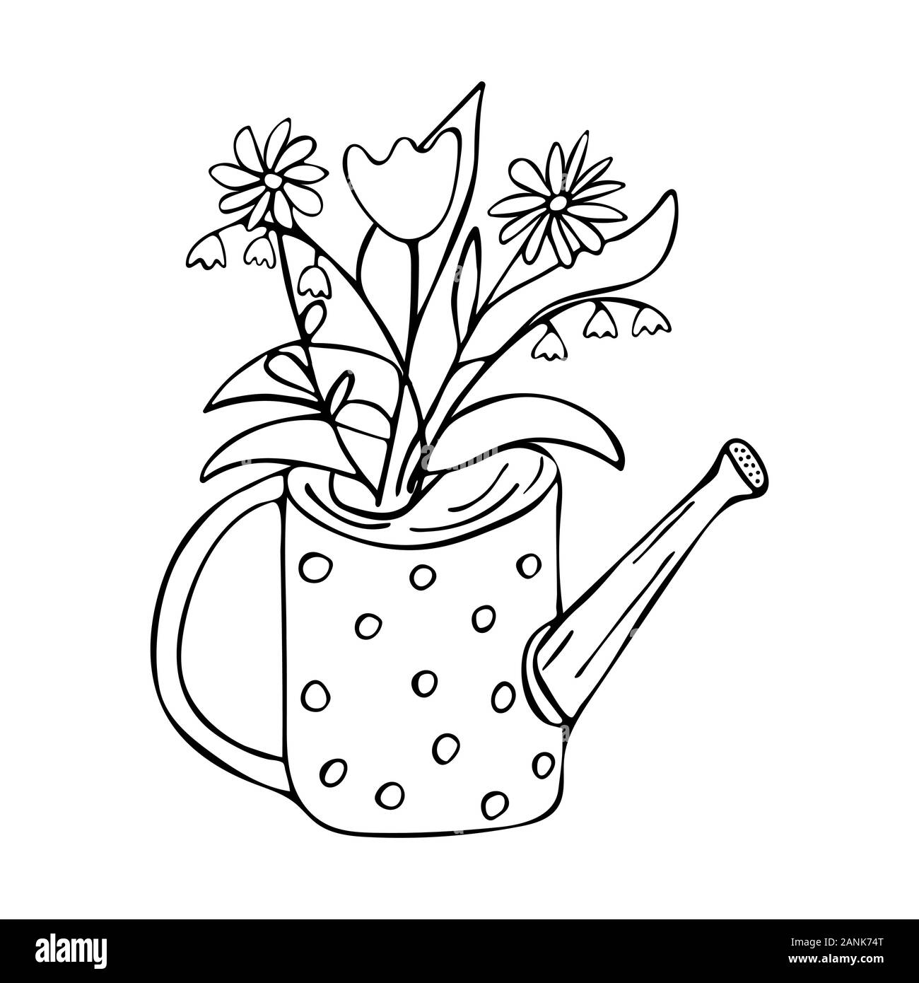 Gießkanne mit Blumen. Maiglöckchen, Tulip, Gänseblümchen. Schwarze und weiße Doodle style Abbildung. Frühling und Sommer Konzept Stock Vektor