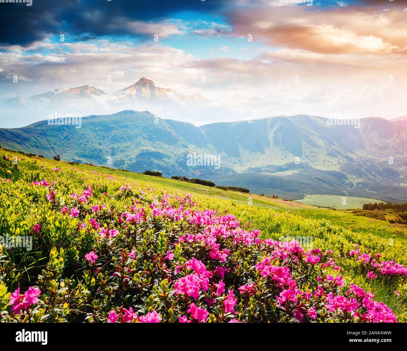 Fesselnde Szene des Alpine Valley im Sonnenlicht. Schönen Tag. Ort Karpaten Ukraine, Europa. Wunderbares Bild von Tapeten. Excellen Stockfoto