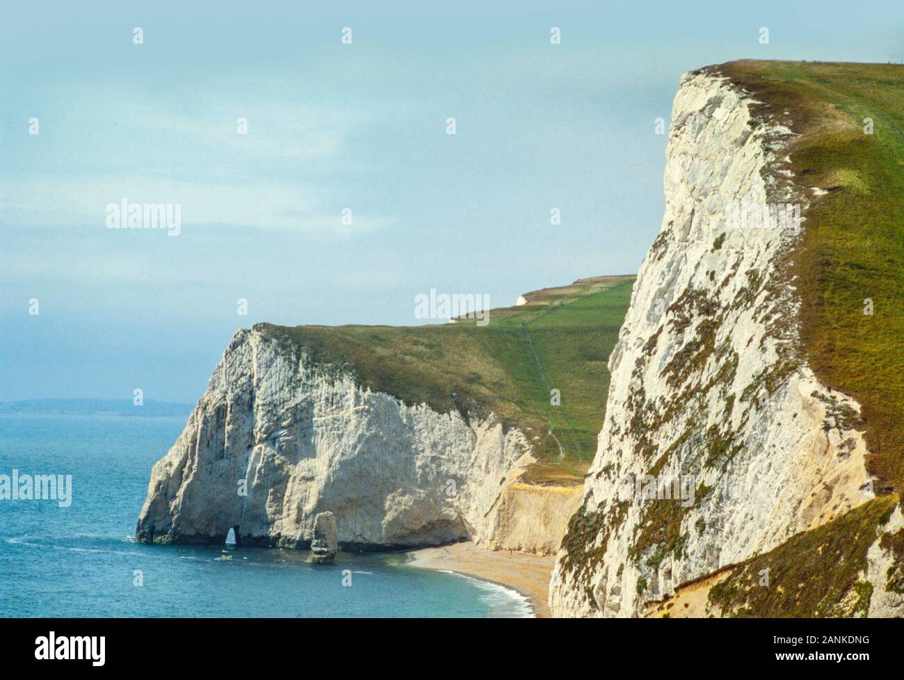 Fledermäuse Head Cliffs, Dorset, Großbritannien. Von Osten aus gesehen nahe Durdle Door. An der Wasserlinie kann man ein "Mäuseloch" sehen, das durch die Meereswellen-Aktion erodiert wird. Stockfoto