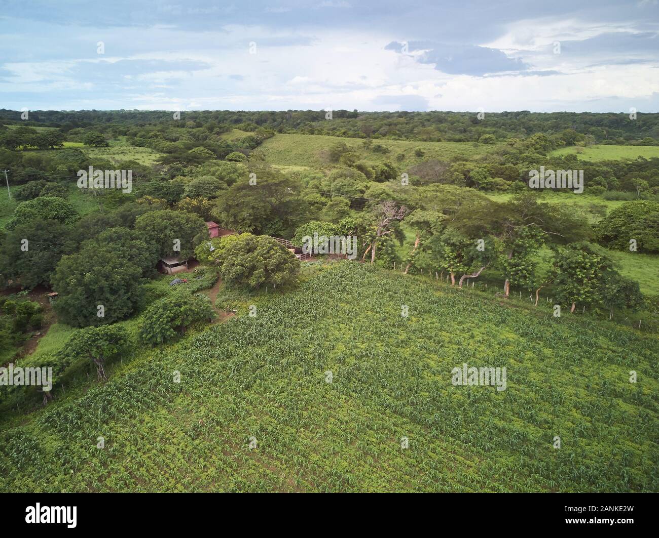 Grüne Landwirtschaft Hügeln in Nicaragua. Kleine natürliche farm Luftaufnahme Stockfoto