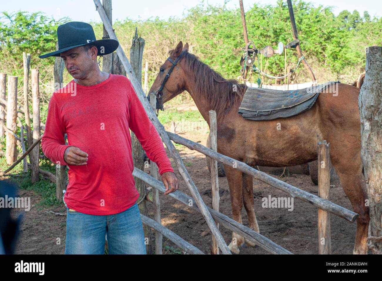 Bauernhof. El Cayuco, Pinar del Río, Kuba. Stockfoto