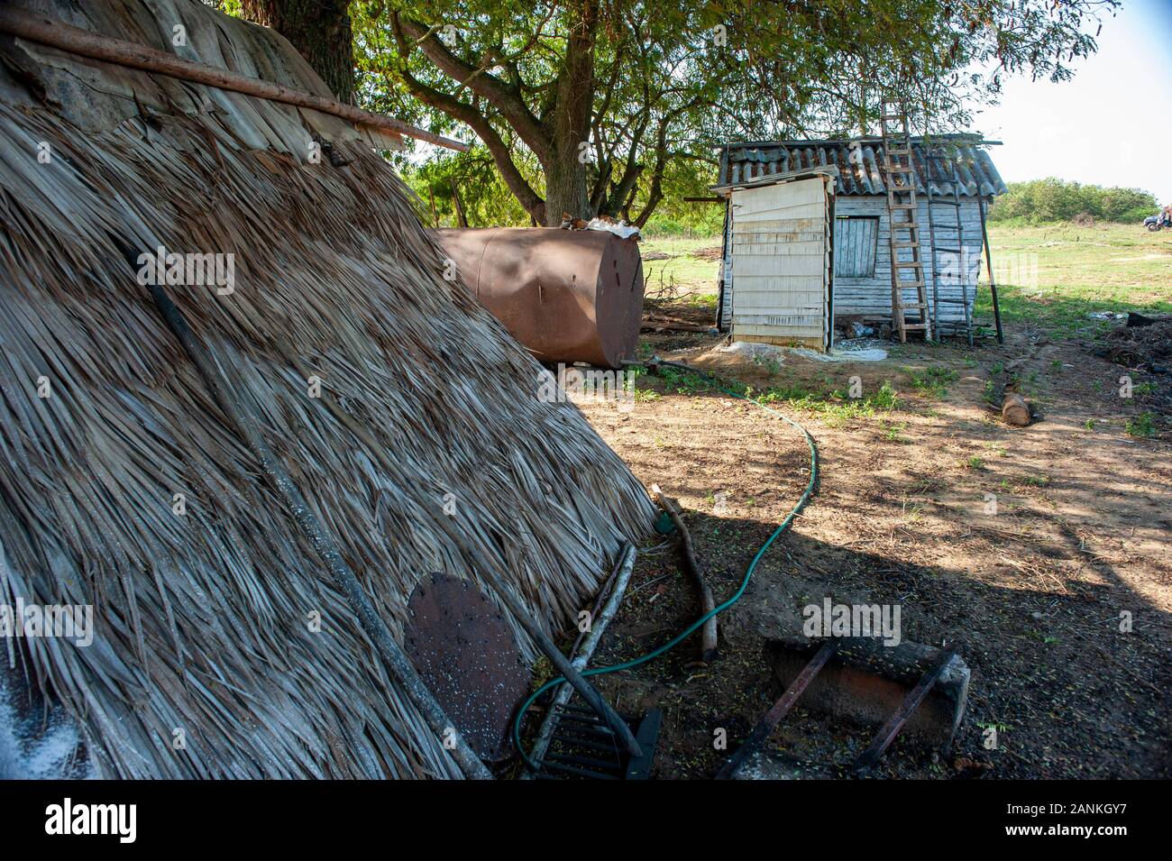 Farmer's Hütte. El Cayuco, Pinar del Río, Kuba. Stockfoto