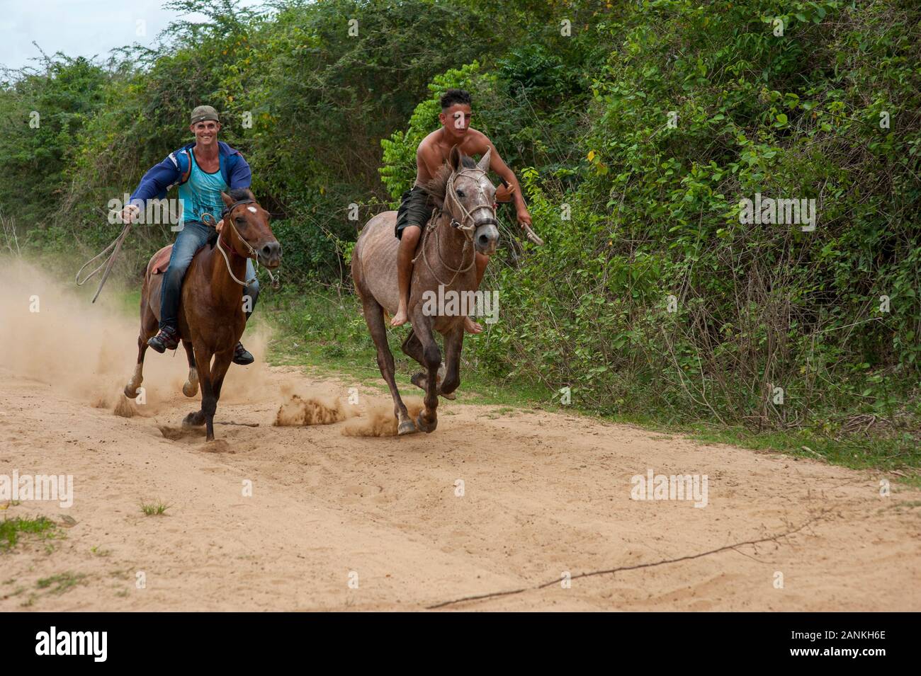 Pferderennen. El Cayuco, Pinar del Río, Kuba. Stockfoto