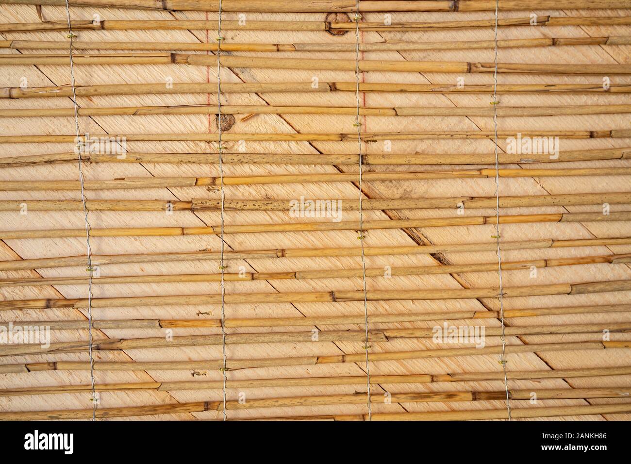 Feste reed Mats auf einer Holzwand für plastring die Wände mit Lehm und Sand - Begriff der Moderne und ökologische Architektur vorbereitet Stockfoto