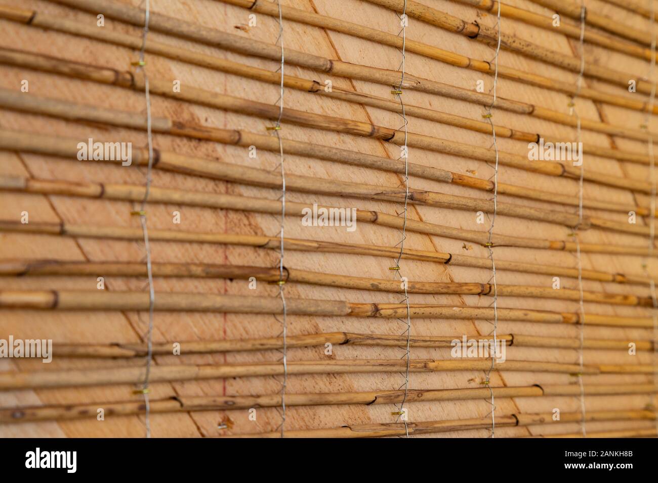 Feste reed Mats auf einer Holzwand für plastring die Wände mit Lehm und Sand - Begriff der Moderne und ökologische Architektur vorbereitet Stockfoto