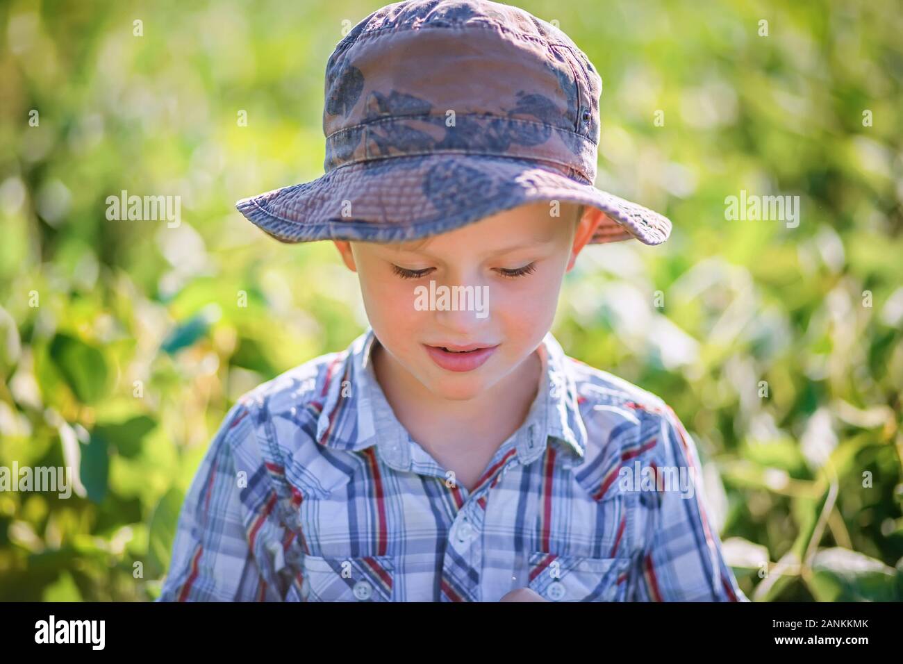 Traurige Junge in Panama und kariertem Hemd im Sommer auf dem Feld mit Soja. Lifestyle im Sommer und im Frühling. Stockfoto