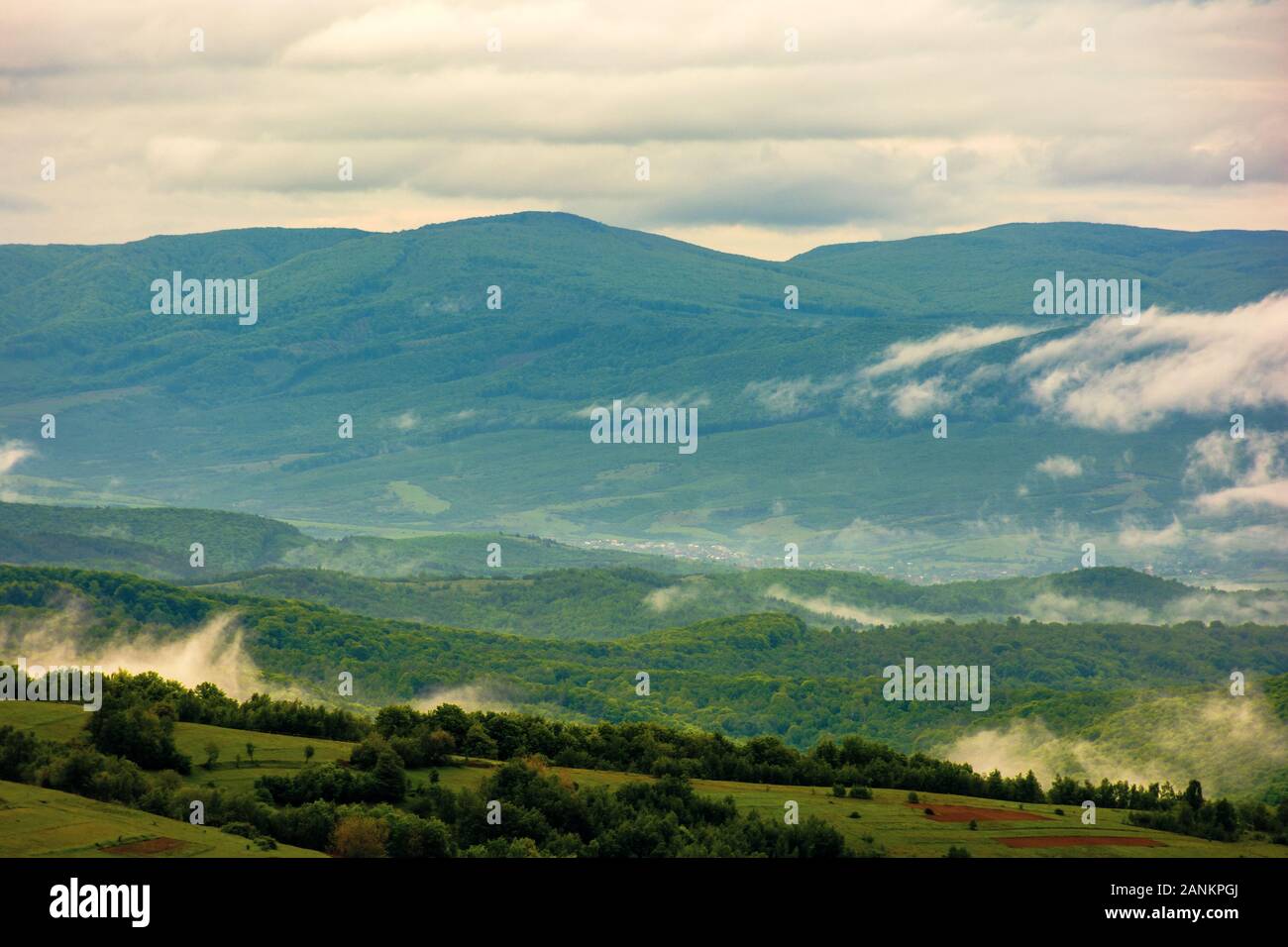 Wolken steigen über die Hügel. bergige Landschaft der Karpaten. Nebel aus dem grünen Wald, gleich nachdem es regnet. bewölkt windig Sunrise verdunsten Stockfoto