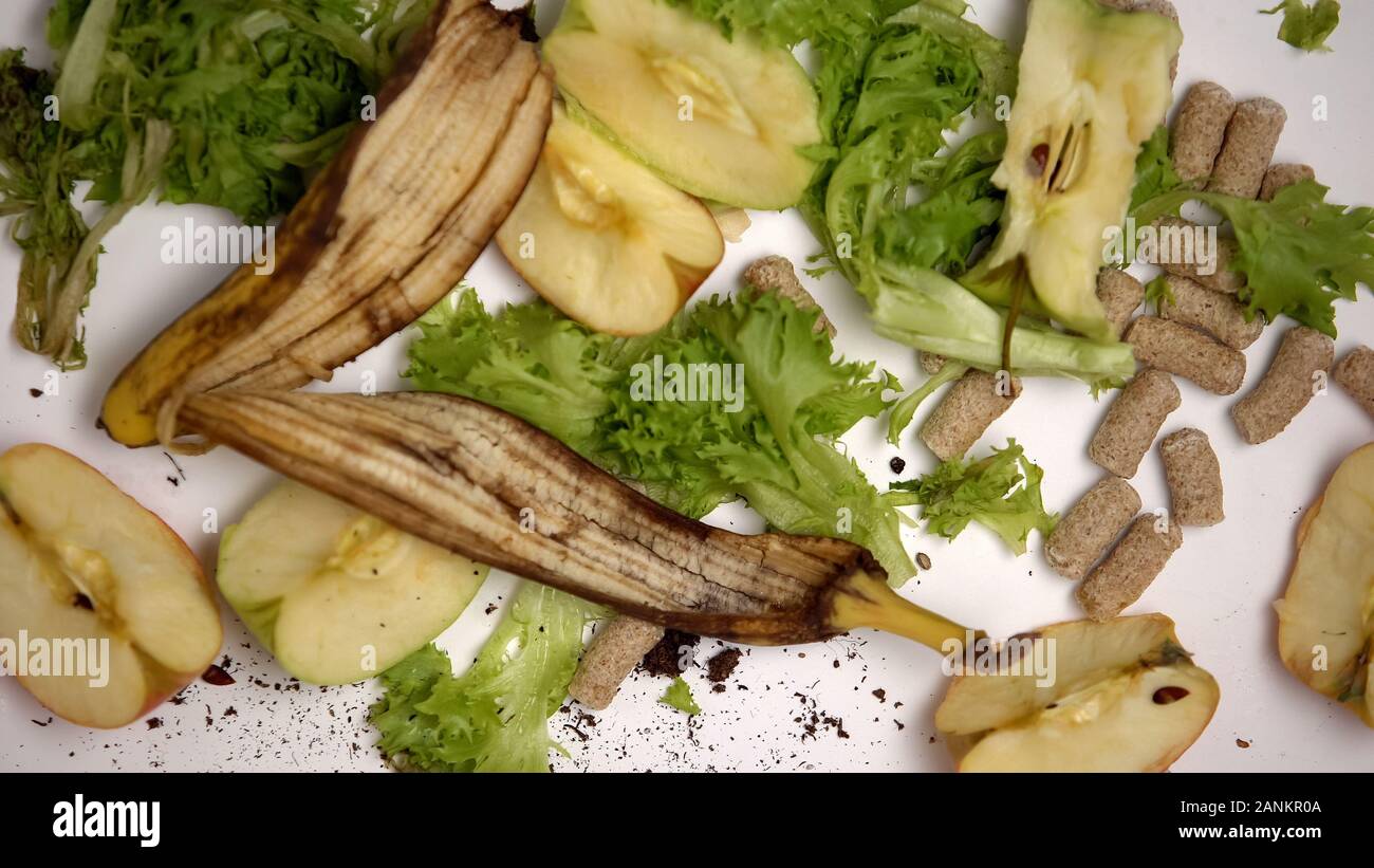 Biologisch abbaubare Abfälle liegen auf weißem Hintergrund, organisches Material Recycling Stockfoto