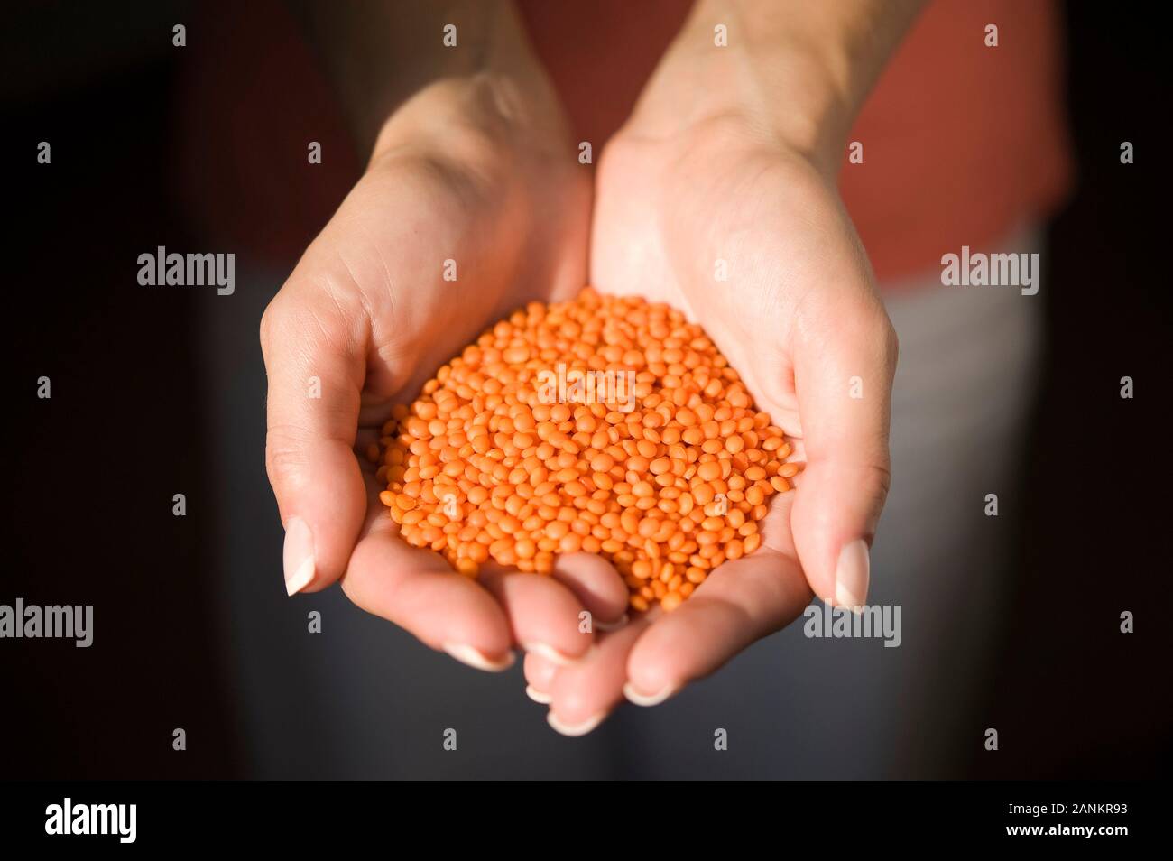Rote Linsen - rote Linsen Stockfoto