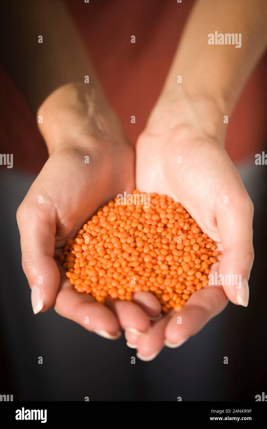 Rote Linsen - rote Linsen Stockfoto