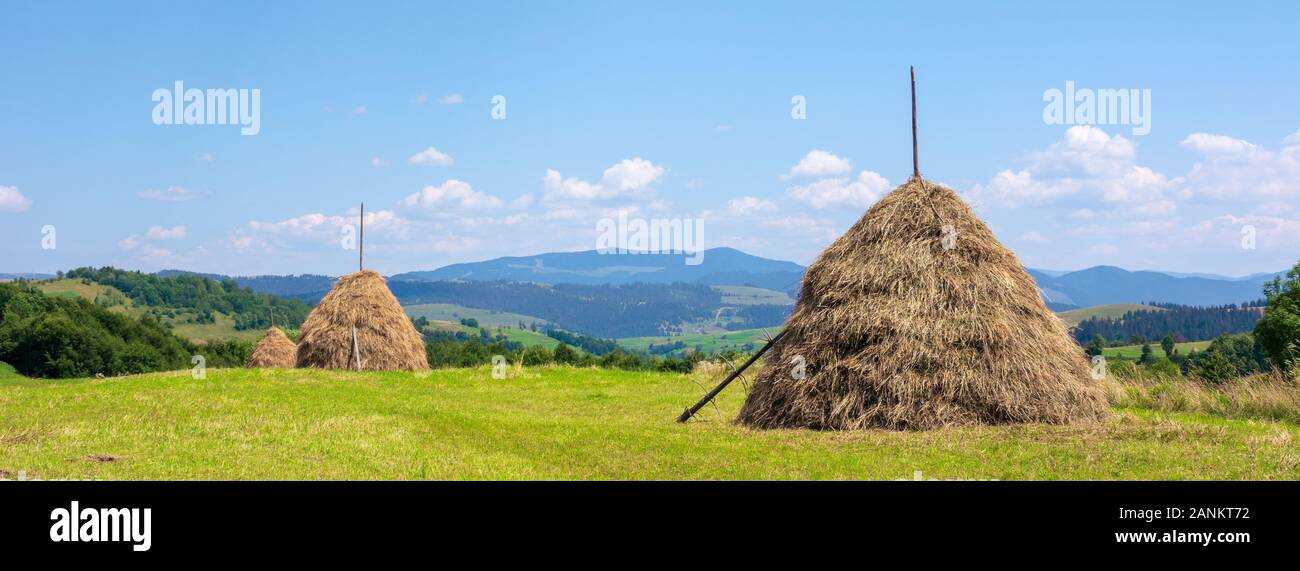 Heuhaufen auf der Wiese im Sommer. Traditionelle karpatische ländliche Landschaft in den Bergen. sonniges Wetter mit Fluffy Clouds Stockfoto