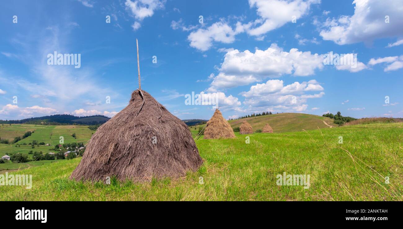 Heuhaufen auf der Wiese im Sommer. Traditionelle karpatische ländliche Landschaft in den Bergen. sonniges Wetter mit Fluffy Clouds Stockfoto