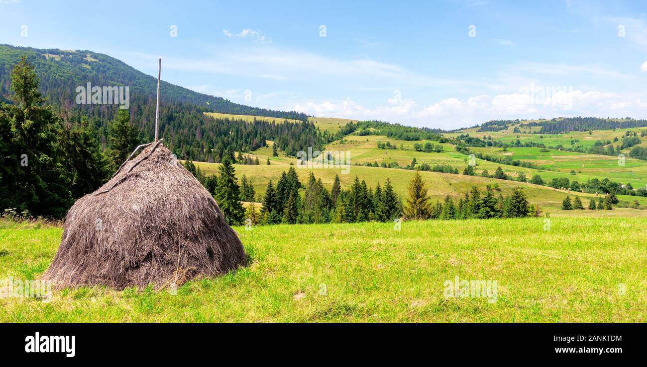 Heuhaufen auf der Wiese im Sommer. Traditionelle karpatische ländliche Landschaft in den Bergen. sonniges Wetter mit Fluffy Clouds Stockfoto
