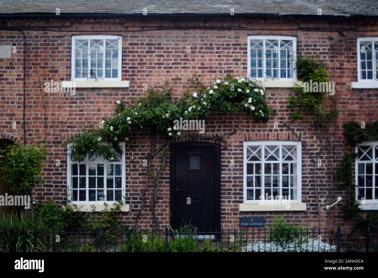 Backstein-Cottage-Haus in wales mit weißen Fenstern und Efeuwänden. Stockfoto