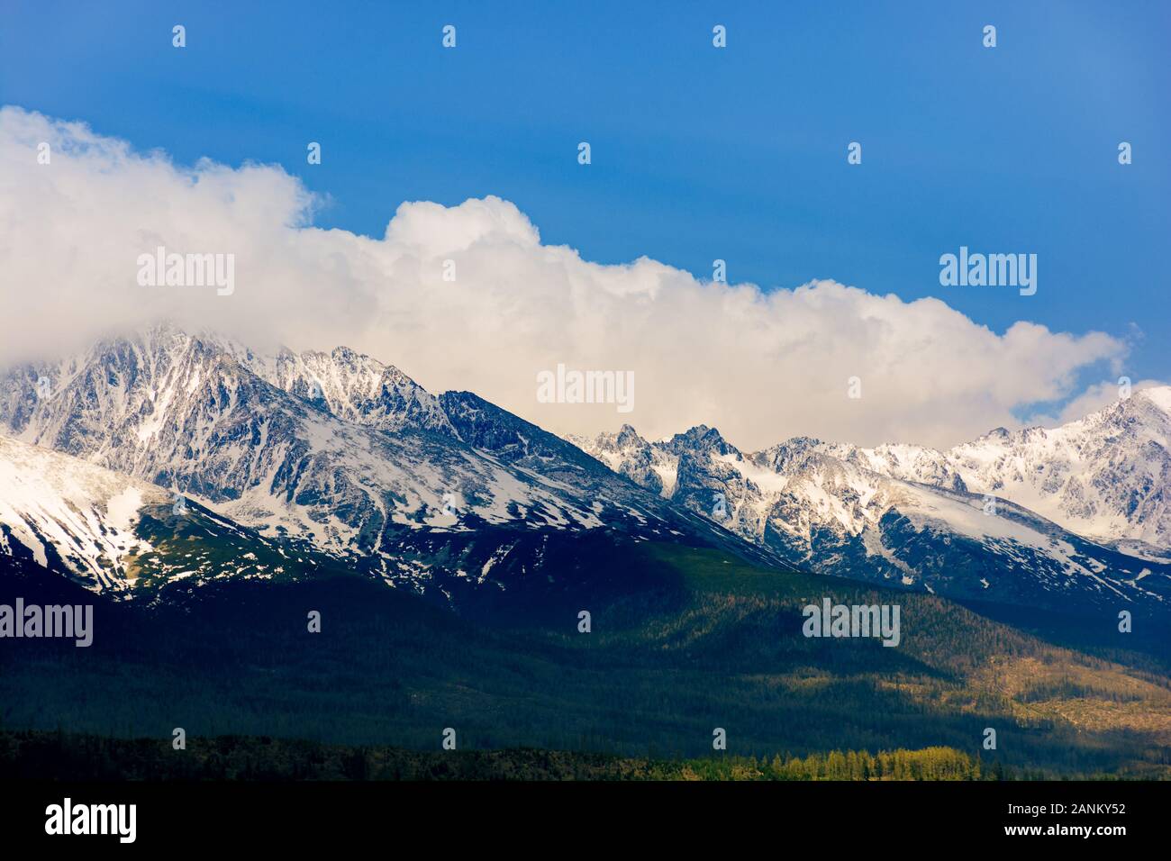 Hohe Tatra Bergkamm im Frühling. Schnee felsigen Gipfeln in dramatischen dappled Sonnenlicht unter einem Wolken am blauen Himmel bedeckte. Ort der Erde erfüllt. Stockfoto